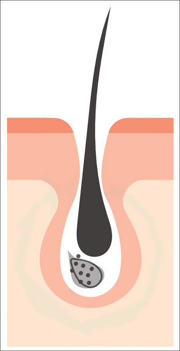 hairlosslaw_growth 頭髮 毛髮專+ 洗頭 | 髮型 | 脫髮 | 植髮