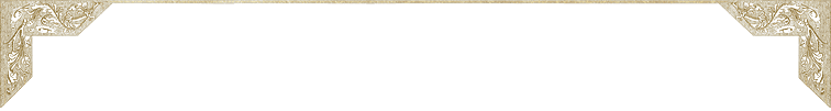rg-border-img-Top1